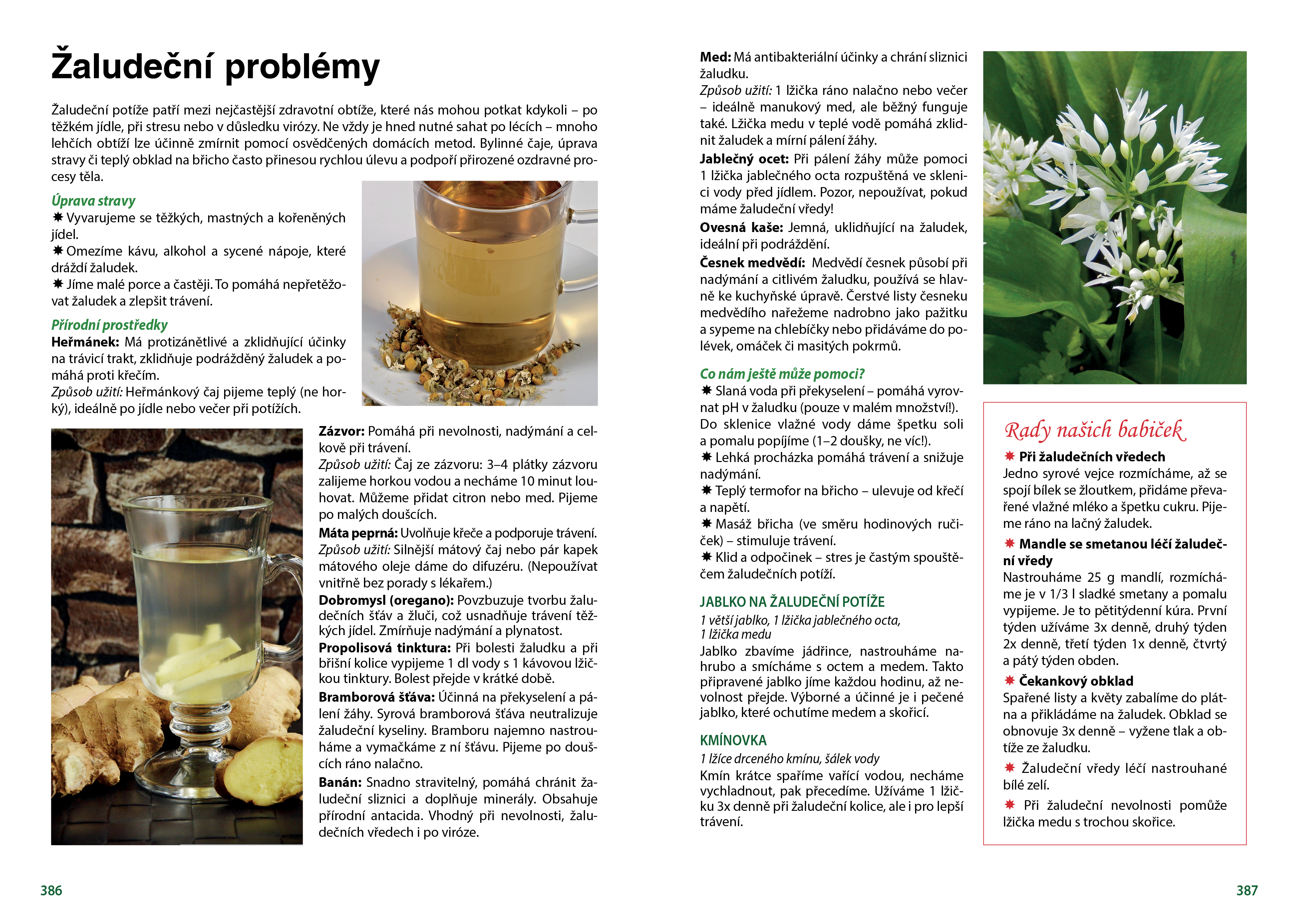 Domácí léčebné prostředkyUkázkaZažívací problémy